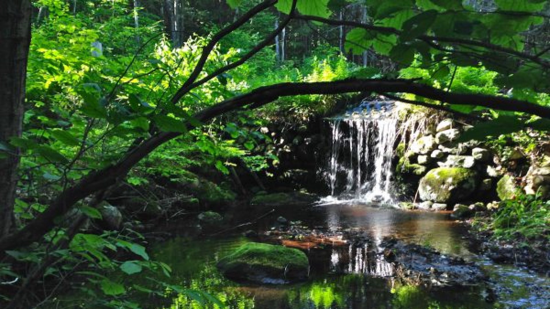 Patchwork Farm Retreat Little Patch