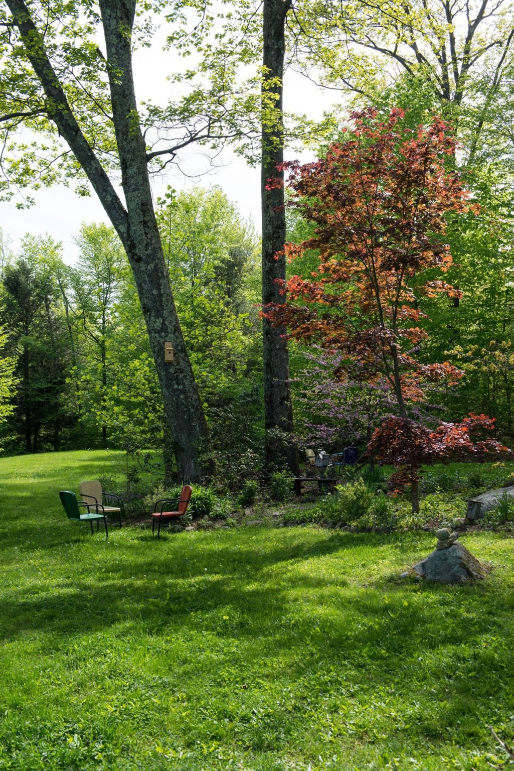 Gallery Little Patch