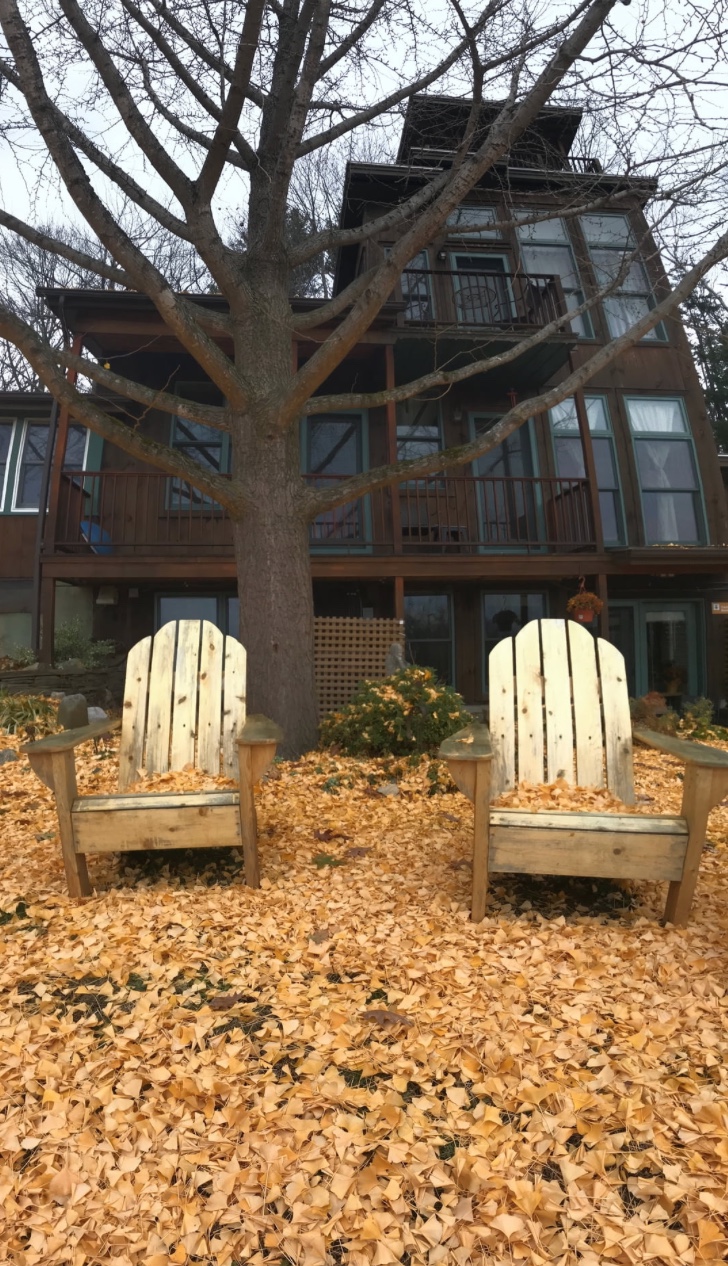 Gallery Little Patch